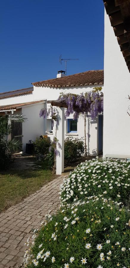 Le Mas Des Sagnes Saintes-Maries-de-la-Mer Exteriör bild