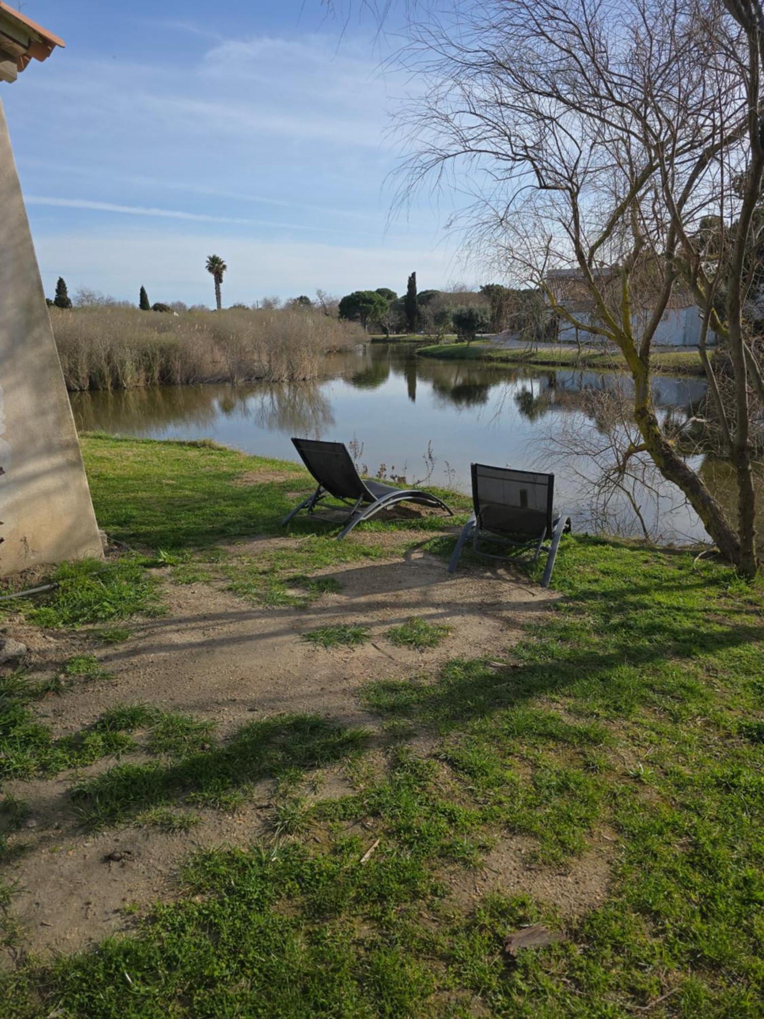 Le Mas Des Sagnes Saintes-Maries-de-la-Mer Exteriör bild